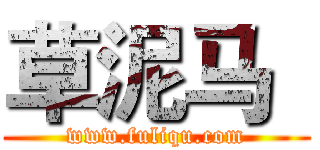 草泥马
 (www.fuliqu.com)