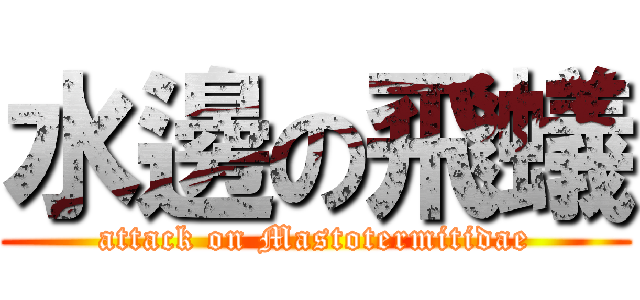 水邊の飛蟻 (attack on Mastotermitidae)