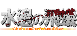 水邊の飛蟻 (attack on Mastotermitidae)