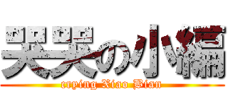 哭哭の小編 (crying Xiao Bian)