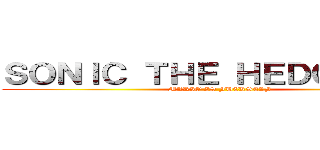 ＳＯＮＩＣ ＴＨＥ ＨＥＤＧＥＨＯＧ (MARIO IS FUCKSELF)