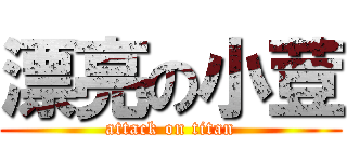 漂亮の小荳 (attack on titan)