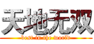 天地无双 (best in the world)