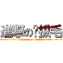 進撃の雞拔毛 (attack on titan)