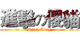 進擊の傻貓 (Bitch King)