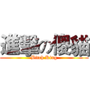 進擊の傻貓 (Bitch King)