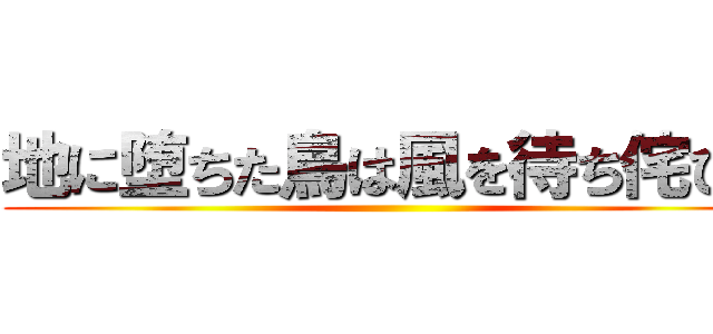 地に堕ちた鳥は風を待ち侘びる ()