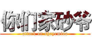 你们家砂爷 (attack on shayemiao)