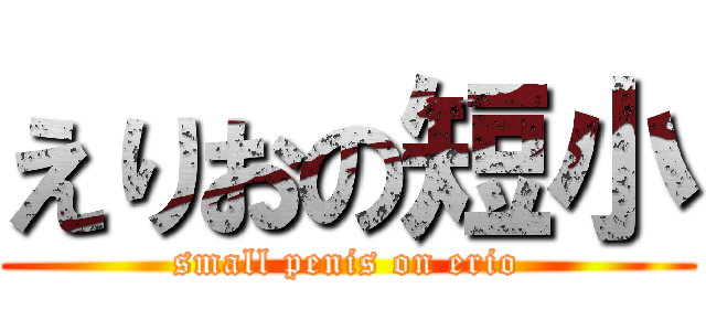 えりおの短小 (small penis on erio)
