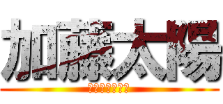 加藤太陽 (かとうたいよう)