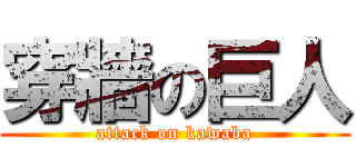 穿牆の巨人 (attack on kawaba)