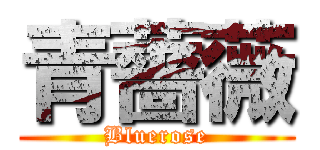 青薔薇 (Bluerose)