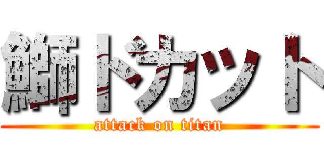 鰤ドカット (attack on titan)