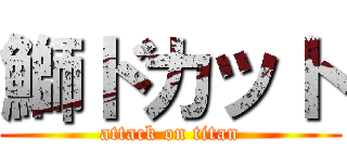 鰤ドカット (attack on titan)