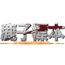 鹿子標本 (WOWWOWWOW)