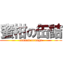 蜜柑の缶詰 (canned orange)