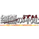 细菌の坏处 (The bad effect of bacteria)