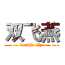 双飞燕 (double fly)