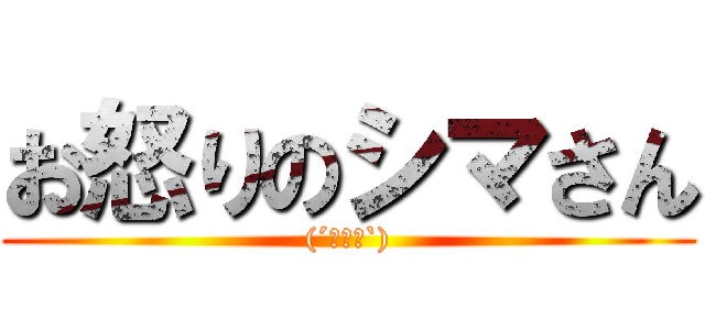お怒りのシマさん ((´・ω・`))