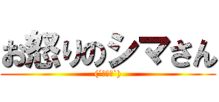 お怒りのシマさん ((´・ω・`))