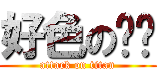 好色の咪咪 (attack on titan)