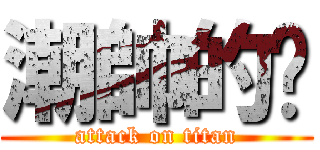 潮帥的ㄚ (attack on titan)