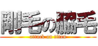 剛毛の脇毛 (attack on titan)