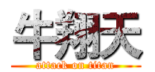 牛翔天 (attack on titan)