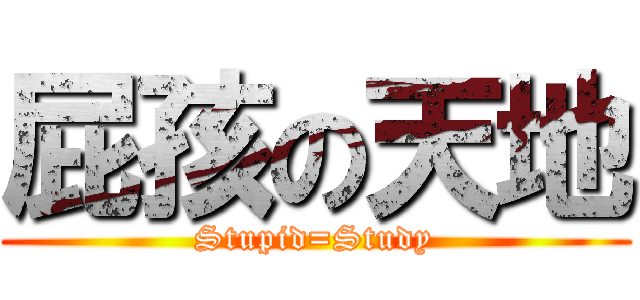 屁孩の天地 (Stupid=Study)