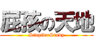 屁孩の天地 (Stupid=Study)