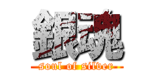 銀魂 (soul of silver)
