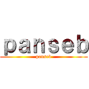 ｐａｎｓｅｂ (panseb)