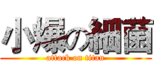 小爆の細菌 (attack on titan)