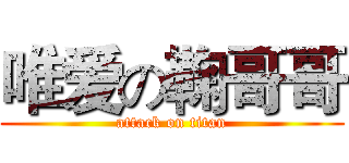 唯爱の鞠哥哥 (attack on titan)