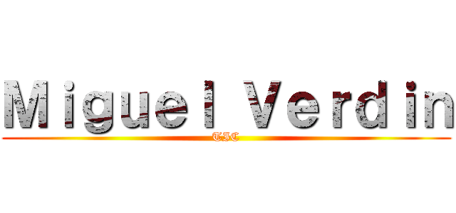 Ｍｉｇｕｅｌ Ｖｅｒｄｉｎ (TIC)