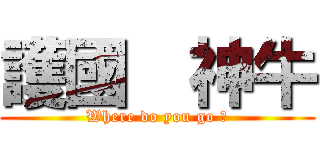 護國  神牛 (Where do you go ?)