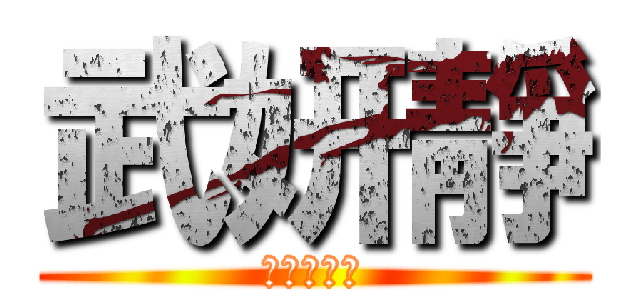 武妍靜 (武力，嚴禁)