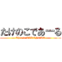 たけのこであーる (This is TAKENOKO)