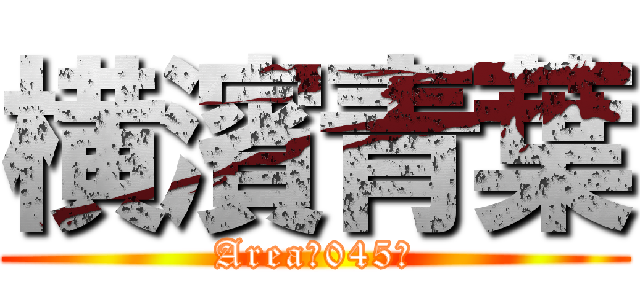 横濱青葉 (Area〜045〜)