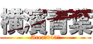 横濱青葉 (Area〜045〜)