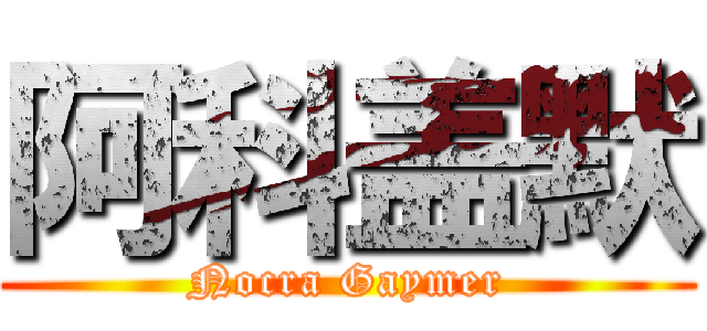 阿科盖默 (Nocra Gaymer)