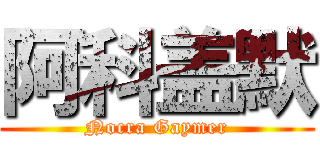 阿科盖默 (Nocra Gaymer)