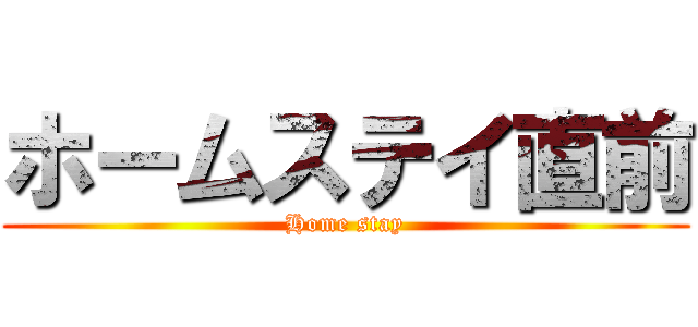 ホームステイ直前 (Home stay)