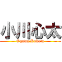 小川心太 (Ogawa Kokota)