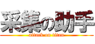 采集の助手 (attack on titan)