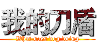 我的刀盾 (What does dog doing)