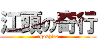 江頭の奇行 (egashira)