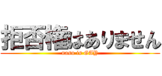 拒否権はありません (nasu is GAY)