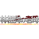 林祖舜の老母 (attack on joe\'s mother)