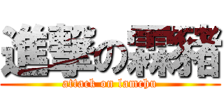 進撃の霖豬 (attack on lamchu)